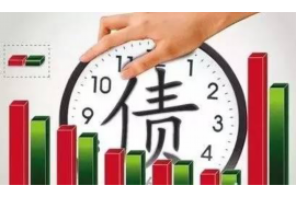 浦江为什么选择专业追讨公司来处理您的债务纠纷？